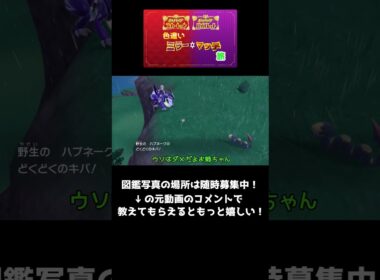 さとり・こいしの色違い図鑑写真部＃７カムカメ　捜索難易度・ムズカしメ　　ポケモンSV色違いミラーマッチ旅番外#２　の番外　 #ポケモンsv #ポケモン #色違いの旅 #ゆっくり実況