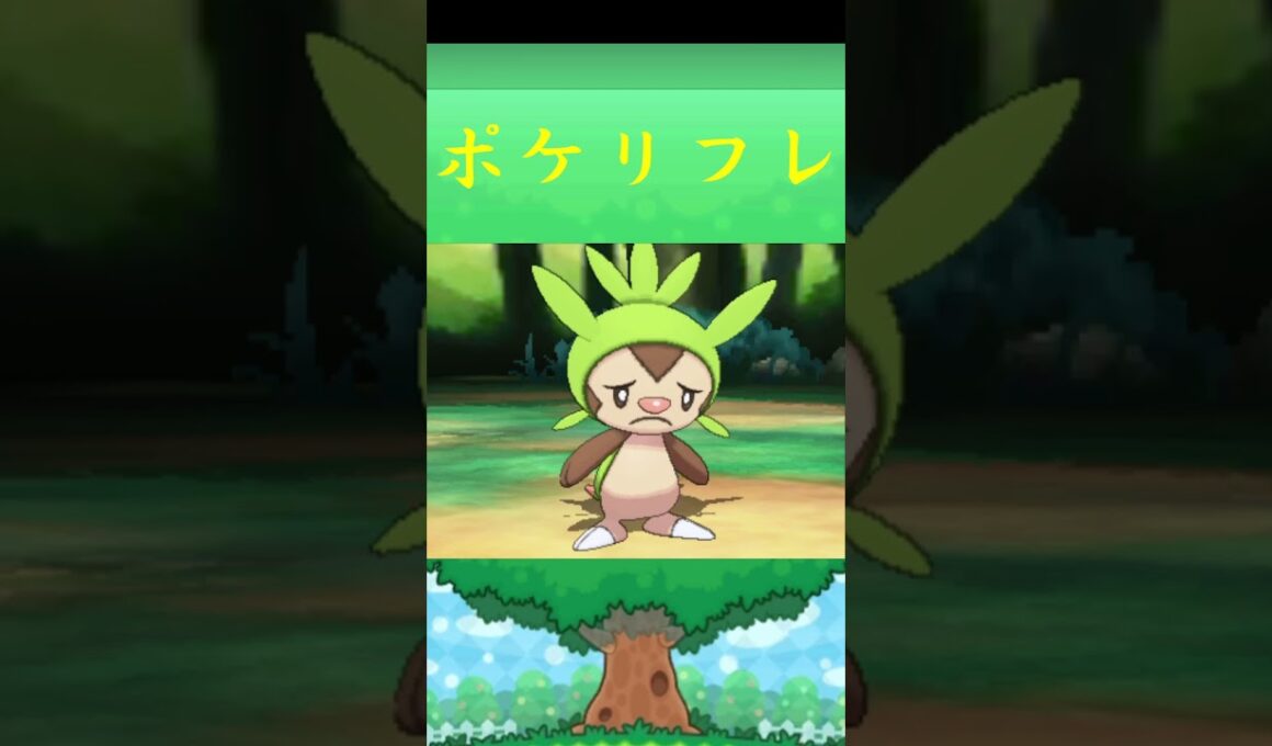 ハリマロン*ポケモン ポケリフレ ポケパルレ #ポケモン #Pokemon  #3DS #nintendoswitch #ポケモンsv #ポケモン #キャンプ #サンドイッチ #ピクニック