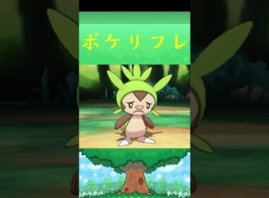 ハリマロン*ポケモン ポケリフレ ポケパルレ #ポケモン #Pokemon  #3DS #nintendoswitch #ポケモンsv #ポケモン #キャンプ #サンドイッチ #ピクニック