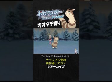 【オオタチ縛り旅】ヒポポタスが強すぎた！麻痺で運ゲーしながら定数ダメージ与えてくるもん。【ダイパリメイク／ポケモン／生放送切り抜き】