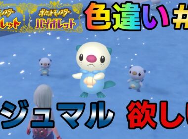 【ポケモンSV】色違いミジュマルが欲しい#3【ポケットモンスタースカーレット・バイオレット】
