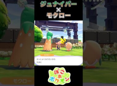 【ぽこあポケモン】形から入るモクロー【ポケモン】