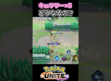 キュワワー全員乗せてみた⭐︎#ポケモンユナイト#ポケモン#キュワワー#ゆめにゃん#REJECT