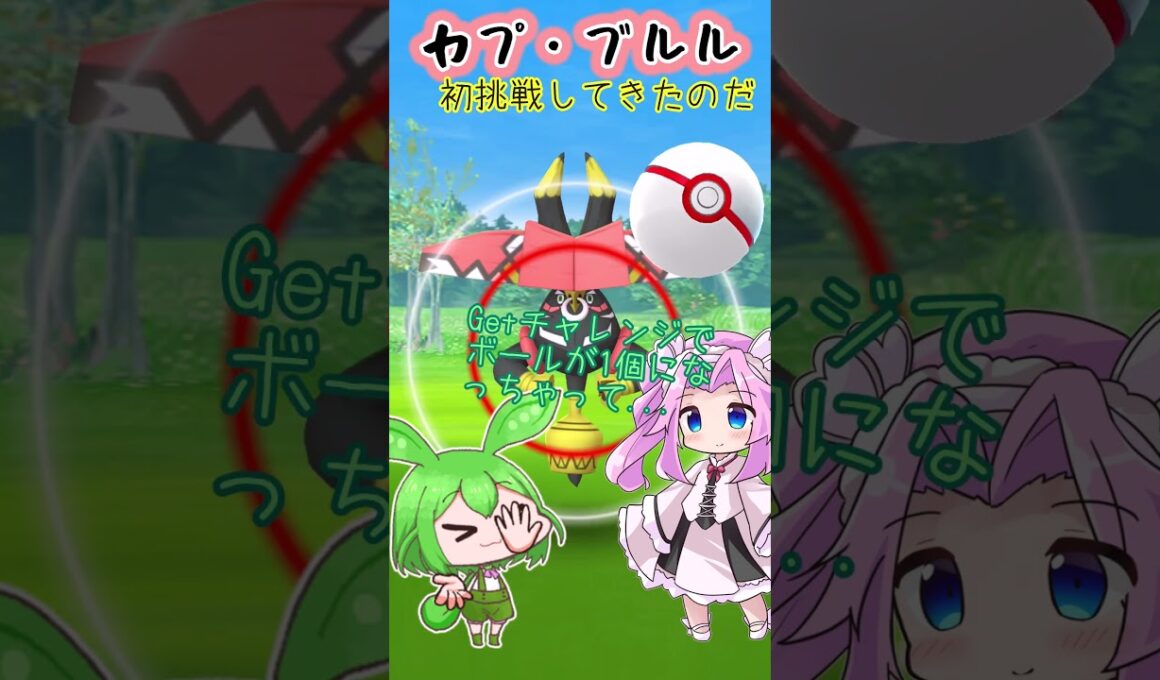 【ポケモンGO】カプ・ブルル レイド 茶番なのだ【PokémonGO】 #shorts #ポケモンgo #pokemongo #カプブルル #レイド #ずんだもん #四国めたん