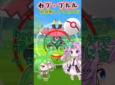 【ポケモンGO】カプ・ブルル レイド 茶番なのだ【PokémonGO】 #shorts #ポケモンgo #pokemongo #カプブルル #レイド #ずんだもん #四国めたん