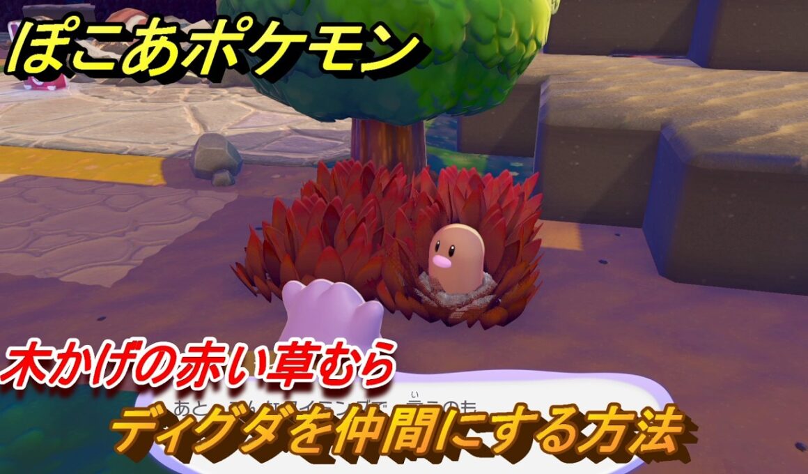 ぽこあポケモン　ディグダを仲間にする方法　木かげの赤い草むら　＃１２２　【ぽこポケ】