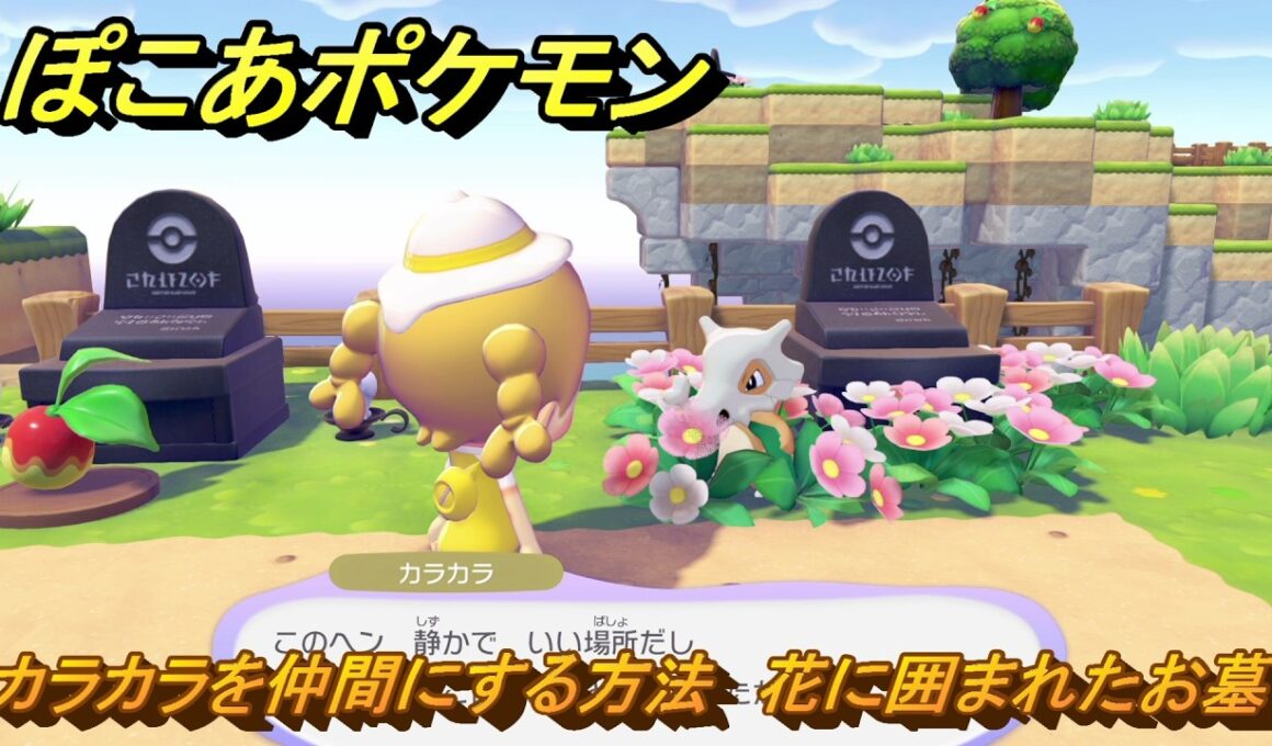 ぽこあポケモン　カラカラを仲間にする方法　花に囲まれたお墓　＃３１０　【ぽこポケ】