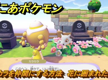 ぽこあポケモン　カラカラを仲間にする方法　花に囲まれたお墓　＃３１０　【ぽこポケ】