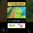 (ポッポは嫌だ…ポッポは嫌だ…！)【ピカブイ】　#shorts  #ポケモン