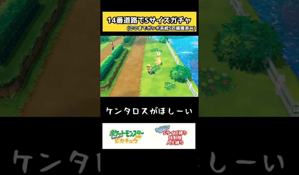 (ポッポは嫌だ…ポッポは嫌だ…！)【ピカブイ】　#shorts  #ポケモン