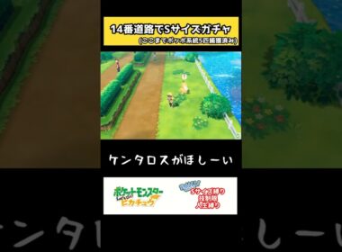 (ポッポは嫌だ…ポッポは嫌だ…！)【ピカブイ】　#shorts  #ポケモン