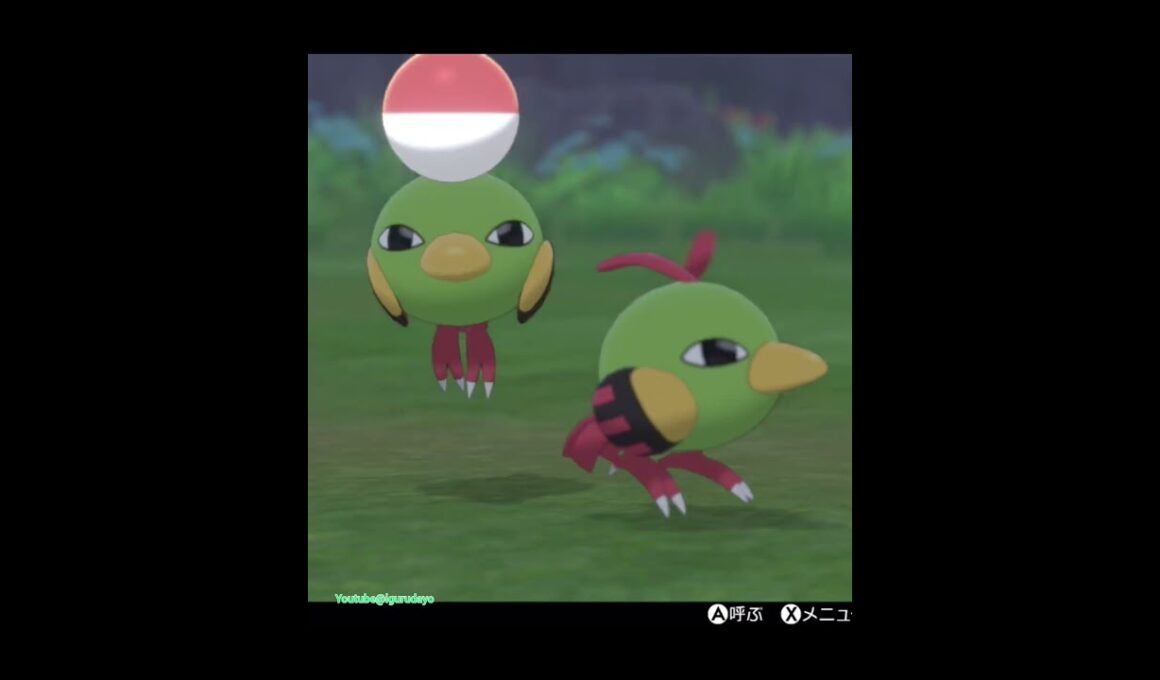 ネイティステップ🎵Natu #pokemonswordshield #ポケモン剣盾