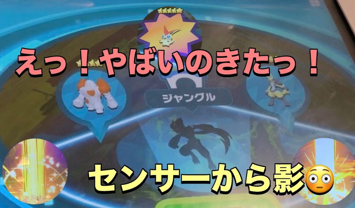 【ポケモンフレンダベストタッグ４弾】STセンサーからゼラオラっぽい影がでたー😳全力で捜索！出会えるか検証👊