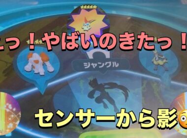 【ポケモンフレンダベストタッグ４弾】STセンサーからゼラオラっぽい影がでたー😳全力で捜索！出会えるか検証👊