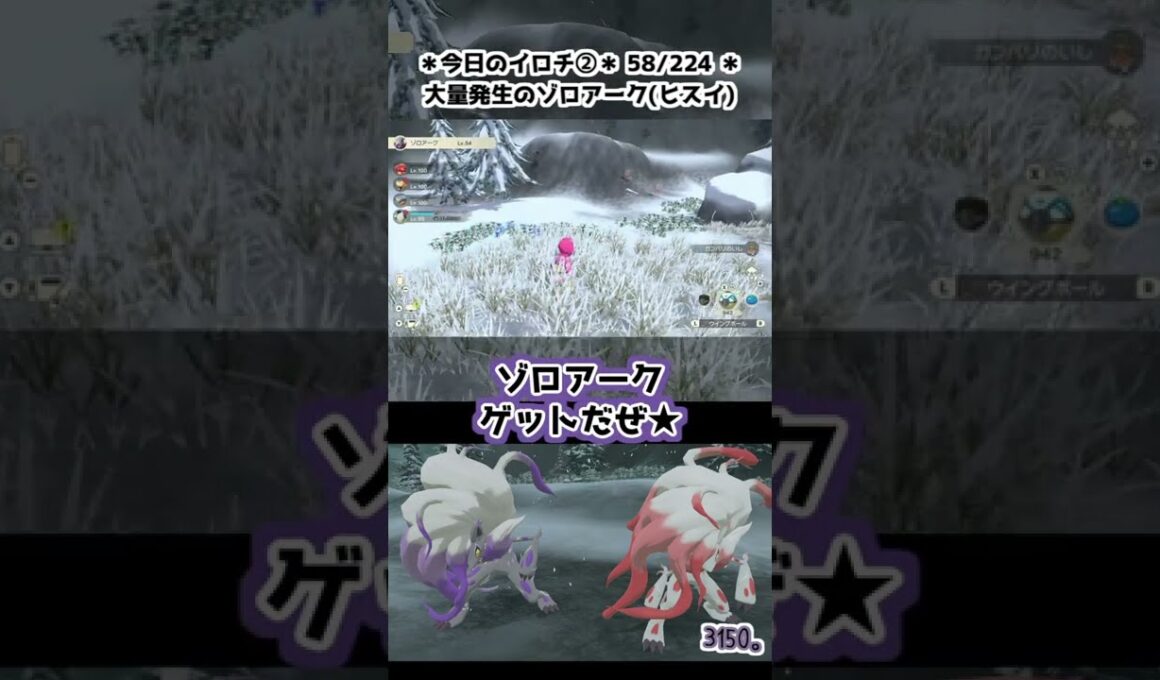 【58/224】東の海のカラナクシとヒスイのゾロアーク。【Pokémon LEGENDS アルセウス】　#shorts