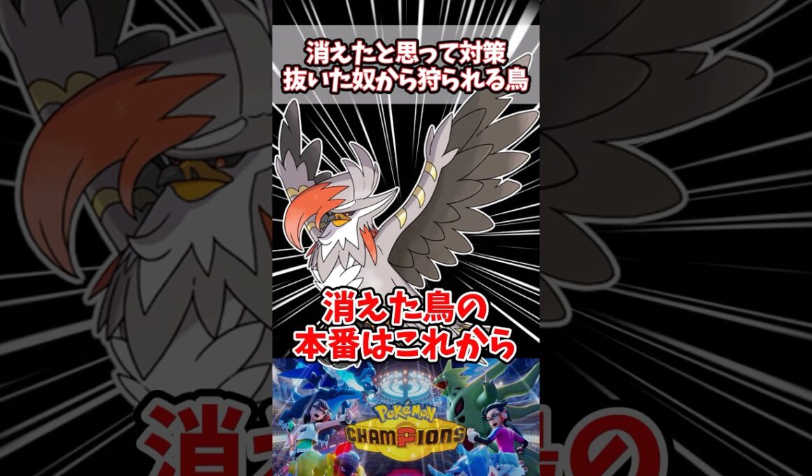 環境で見る事が少なくなってからが本番の鳥【ポケチャン】【メガムクホーク】#pokemonchampions #ポケモン #ポケモンチャンピオンズ