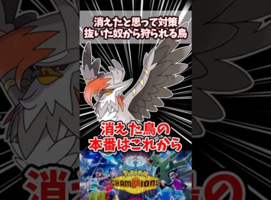 環境で見る事が少なくなってからが本番の鳥【ポケチャン】【メガムクホーク】#pokemonchampions #ポケモン #ポケモンチャンピオンズ