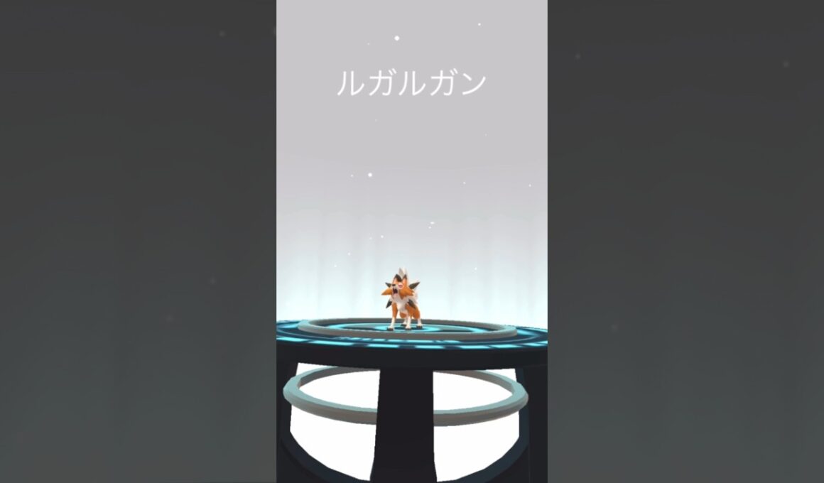 【ポケモンGO】イワンコ（たそがれのすがた）進化！イワンコの進化系全種コンプリート！#shorts #pokemongo #ポケモンgo