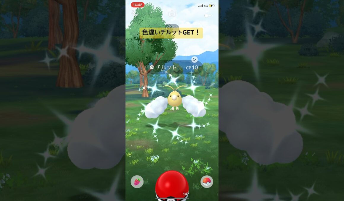 ポケモンGO色違いチルットGET！#ポケモン #ポケモンgo #pokemongo