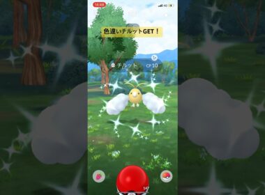 ポケモンGO色違いチルットGET！#ポケモン #ポケモンgo #pokemongo