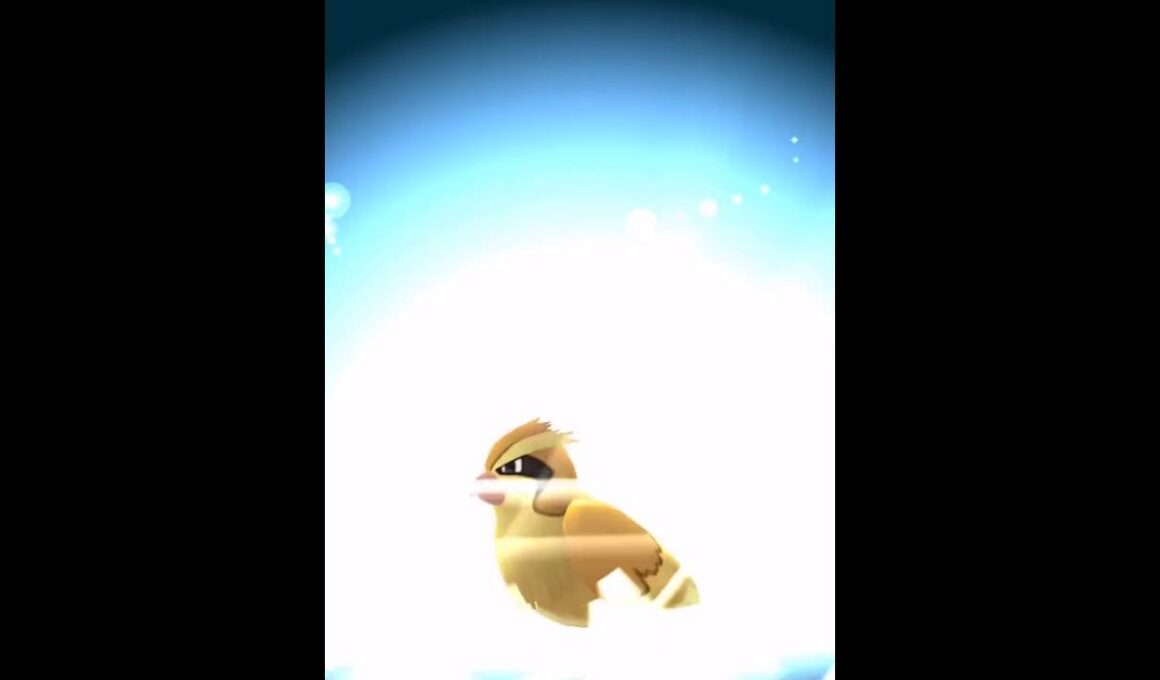 【ポケモン Go】ポッポを進化させてみた