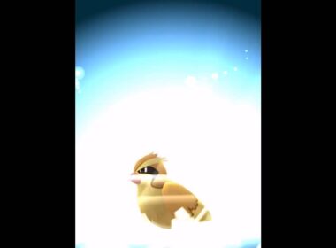 【ポケモン Go】ポッポを進化させてみた