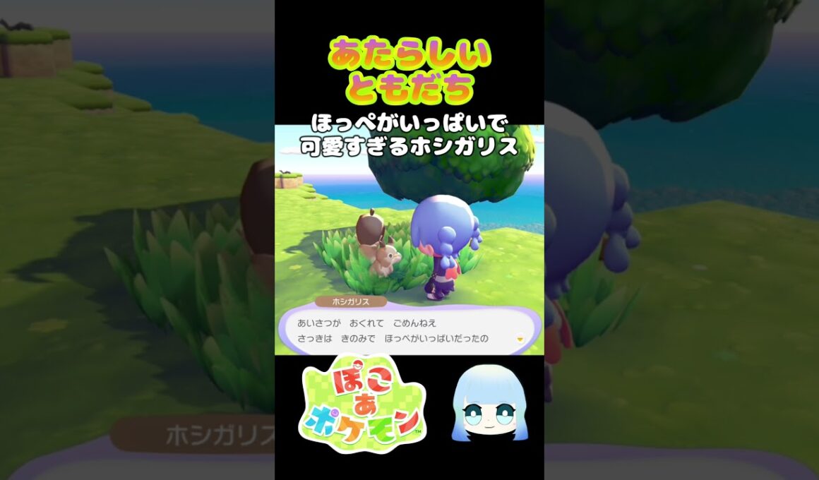 【ぽこ あ ポケモン】あたらしいともだち　ほっぺがいっぱいで可愛すぎるホシガリス　#ゲーム #ゲーム実況 #ポケモン #ぽこあポケモン