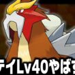 エンテイLv40が最初のポケモンだったらカントー地方で強化リーグ殿堂入りまで無双できるのか【ハートゴールドソウルシルバー/HGSS】