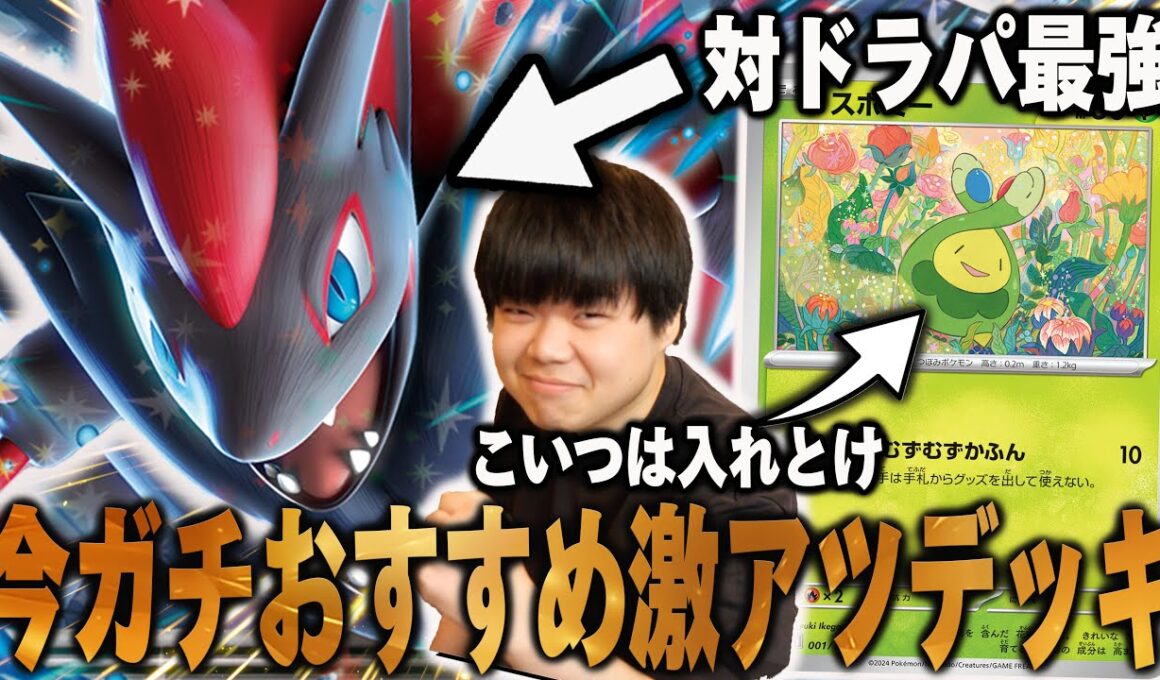 ドラパルトに勝てるゾロアークが今ガチでおすすめ！環境の3割に勝てるデッキは強いに決まってる…【ポケカ対戦】