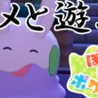 【ぽこ あ ポケモン】ぽこあポケモンでヌメラと遊びまくる！【Switch2】【ポケモン】#15