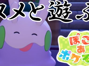 【ぽこ あ ポケモン】ぽこあポケモンでヌメラと遊びまくる！【Switch2】【ポケモン】#15