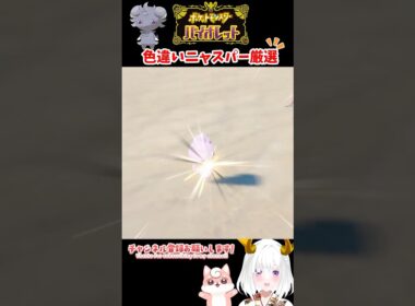 色違いニャスパー︎︎ (めす)出現シーン