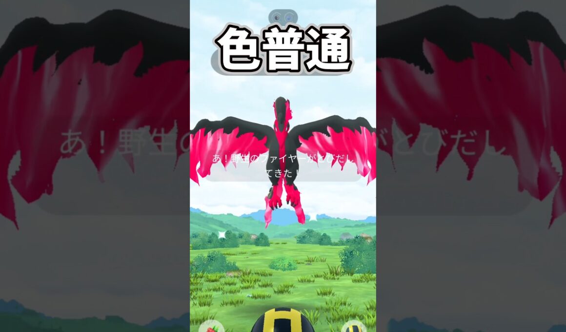 【PokemonGO】ガラルファイヤーさん対戦よろしくお願いします。【ブルックGO】