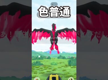 【PokemonGO】ガラルファイヤーさん対戦よろしくお願いします。【ブルックGO】