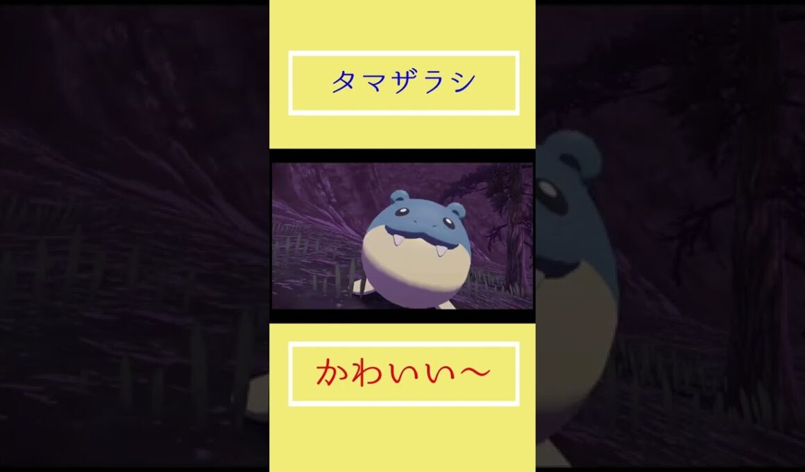 タマザラシかわいい～【Pokémon LEGENDS アルセウス】#shorts