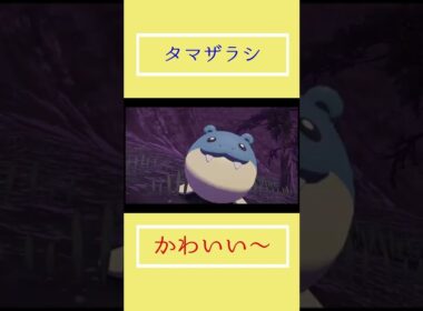 タマザラシかわいい～【Pokémon LEGENDS アルセウス】#shorts