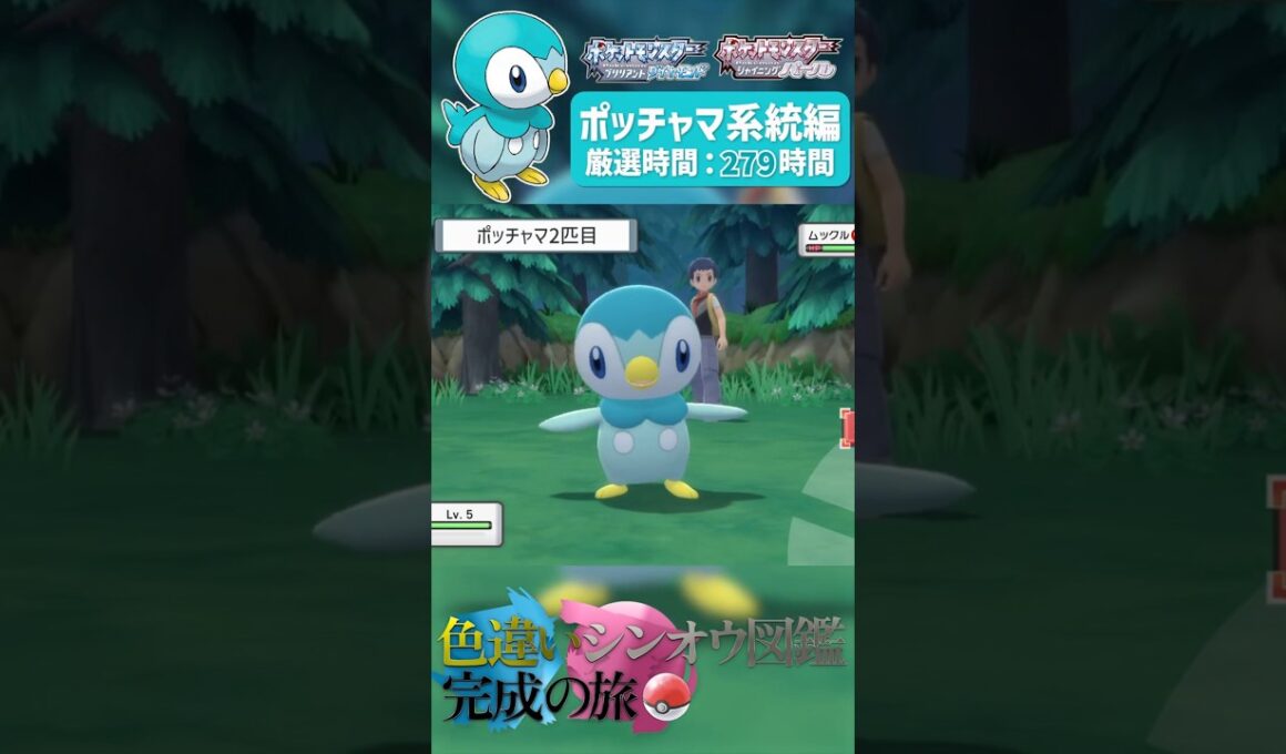 シンジ湖だけでポッチャマ系統の色違いを全てゲットしてみた！！｜【ポケモンBDSP】色違いシンオウ図鑑完成の旅 #ポケモン #shinypokemon #色違い #ダイパリメイク