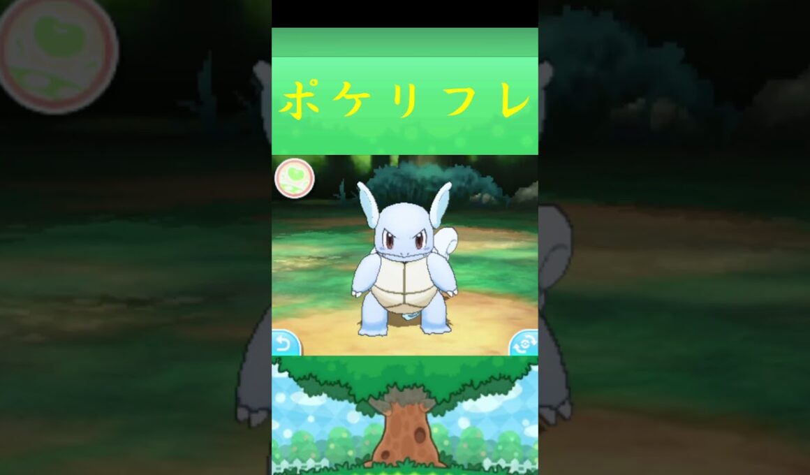 カメール*ポケモン ポケリフレ ポケパルレ #ポケモン #Pokemon  #3DS #nintendoswitch #ポケモンsv #ポケモン #キャンプ #サンドイッチ #ピクニック