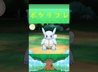 カメール*ポケモン ポケリフレ ポケパルレ #ポケモン #Pokemon  #3DS #nintendoswitch #ポケモンsv #ポケモン #キャンプ #サンドイッチ #ピクニック