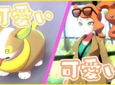 ダンデさんに怒られてワンパチとソニアさんに癒される回【史上初！？】【バトルをしないポケモン実況】【ポケットモンスターシールド】