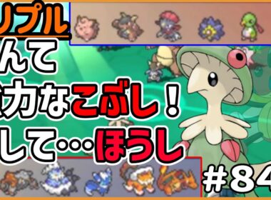 なんて強力なこぶし！そして…ほうし！※レディアンではない【トリプルバトル #848】