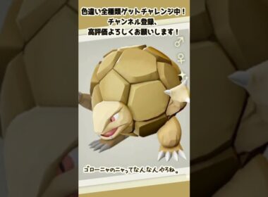 【63/224】ゴローニャのニャって、結局のとこなんなん？【Pokémon LEGENDS アルセウス】　#Shorts