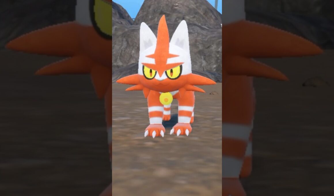 Shiny Litten evolves into Shiny Torracat #pokemon #ポケットモンスター