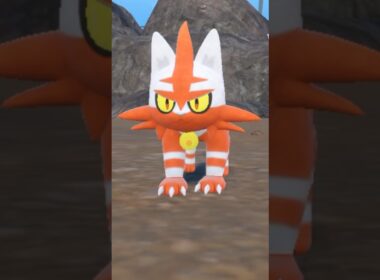 Shiny Litten evolves into Shiny Torracat #pokemon #ポケットモンスター