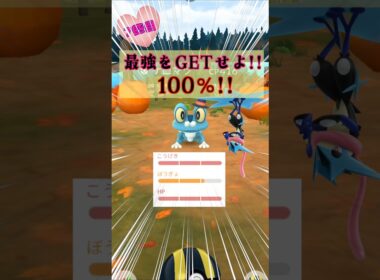 衣装ケロマツ１４連♪タスク開封!!最強をGETせよ!!【ポケモンGO】