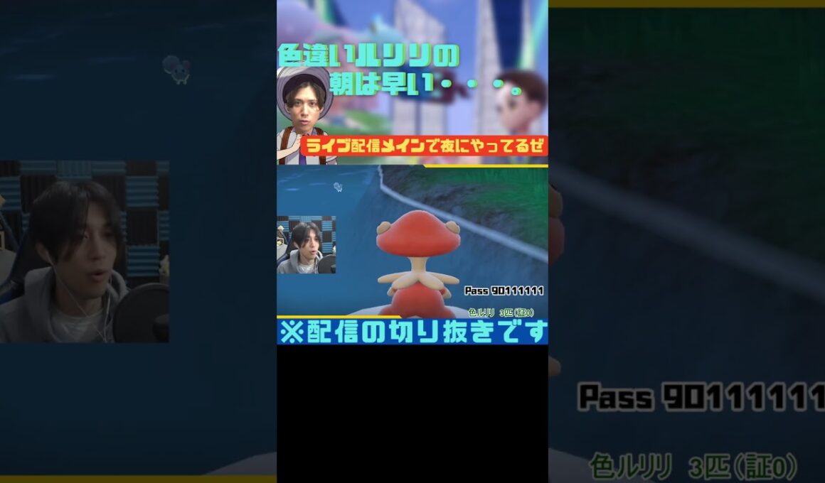 【ポケモンSV】色違いルリリの朝は早い！～配信切り抜き～