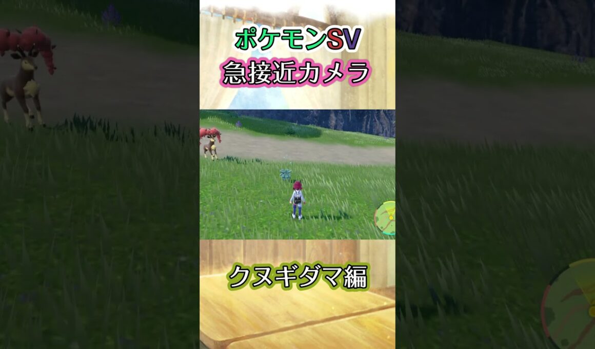 【ポケモンSV】クヌギダマをｼﾞﾜｼﾞﾜと追い詰めるだけの動画 #ポケモン #ポケモンsv #クヌギダマ #shorts