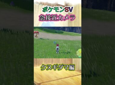 【ポケモンSV】クヌギダマをｼﾞﾜｼﾞﾜと追い詰めるだけの動画 #ポケモン #ポケモンsv #クヌギダマ #shorts