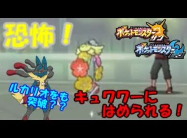 【ポケモンSM】キュワワーの恐ろしさが分かる動画 サナ様に召されるシングルレート pokemon sun moon
