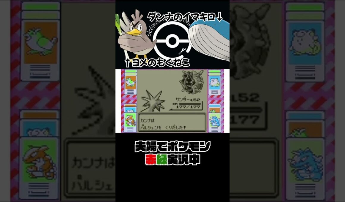 ポケモン初代 サンダーでパルシェンに挑む嫁👩 #Shorts
